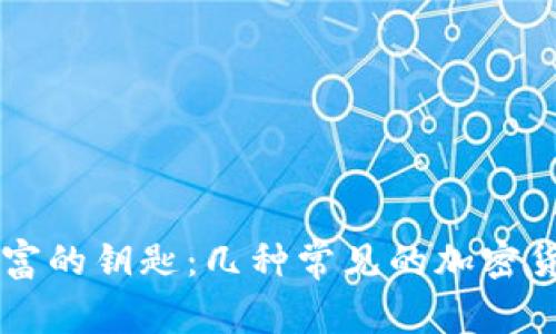 掌握数字财富的钥匙:几种常见的加密货币钱包一览