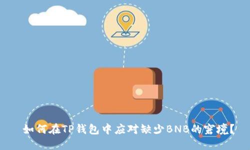  如何在TP钱包中应对缺少BNB的窘境？