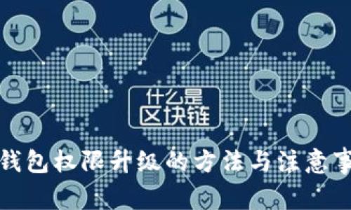 TP钱包权限升级的方法与注意事项
