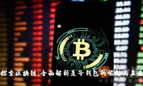 探索区块链:全面解析麦子钱包的崛起与未来