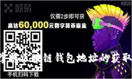 从零开始掌握区块链钱包地址的获取:逐步指南