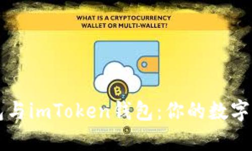 深度解析TP钱包与imToken钱包:你的数字资产最佳守护者