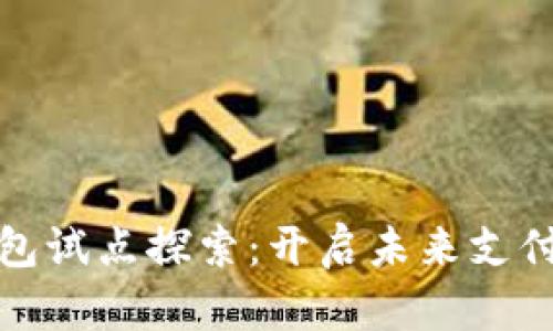 数字钱包试点探索:开启未来支付新篇章
