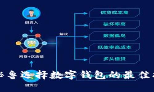 在秘鲁选择数字钱包的最佳指南