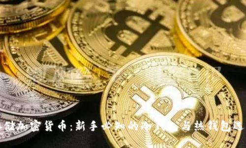 安全存储加密货币：新手必知的冷钱包与热钱包选购指南