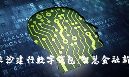探索长沙建行数字钱包:智慧金融新生活!