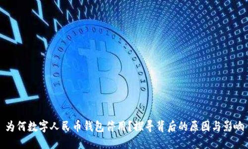 为何数字人民币钱包停用?探寻背后的原因与影响