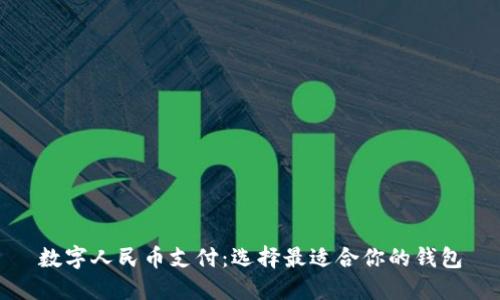 数字人民币支付:选择最适合你的钱包