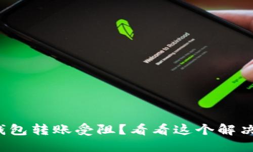 数字钱包转账受阻？看看这个解决方案！