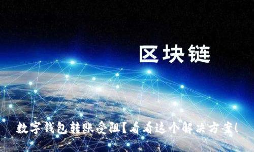 数字钱包转账受阻？看看这个解决方案！