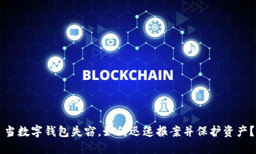 当数字钱包失窃，如何迅速报案并保护资产？
