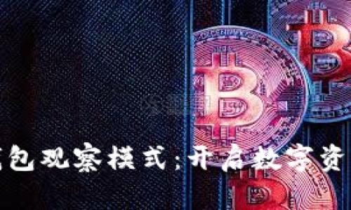 探索TP钱包观察模式:开启数字资产新视窗