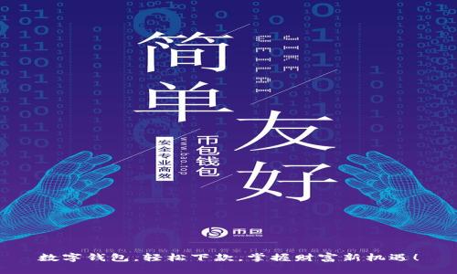 数字钱包,轻松下款,掌握财富新机遇!