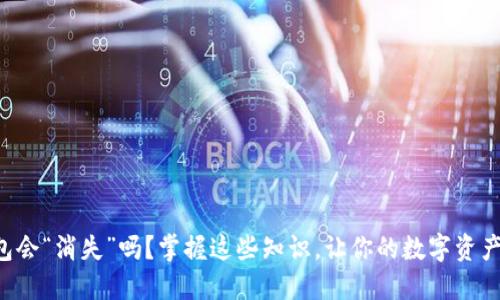 区块链钱包会“消失”吗？掌握这些知识，让你的数字资产安全无忧！