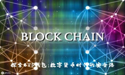 探索BVS钱包：数字货币时代的安全港