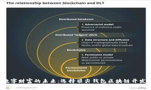 探索数字财富的未来：选择顶尖钱包区块链开发公司！
