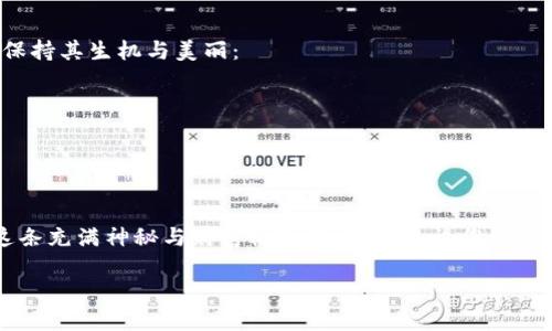 轻松下载您的区块链钱包软件，助您畅游数字货币世界！

区块链, 钱包软件, 数字货币/guanjianci

第一步：了解区块链钱包的类型
在踏上数字货币旅程之前，首先需要了解各种类型的区块链钱包。像晨雾中的老桥，连接着过去与未来的河流，钱包成为了您与数字资产的纽带。区块链钱包主要分为热钱包和冷钱包：
ul
    listrong热钱包：/strong随时在线，便于交易，但相对安全性较低，适合频繁交易的用户。/li
    listrong冷钱包：/strong离线存储，更加安全，适合长期保存资产，使钱包像一座坚固的堡垒，抵御外部攻击。/li
/ul

第二步：选择合适的钱包软件
选择钱包软件就像为您的爱车挑选合适的防盗设备，必须经过深思熟虑。根据您对安全性与便利性的需求，以下是几款常见钱包软件，供您参考：
ul
    listrongCoinbase Wallet：/strong用户友好，适合初学者，拥有大量资源和支持。/li
    listrongTrust Wallet：/strong支持多种币种，界面简洁，功能丰富，像一位得力的助手，带您轻松管理资产。/li
    listrongLedger Live：/strong与Ledger硬件钱包配合使用，安全性极高，适合重视安全的投资者。/li
/ul

第三步：前往官方网站下载
选择好钱包软件后，下一步就是从官方网站上安全地下载软件。就像在阳光明媚的日子里漫步在繁花似锦的街道，确保您来到的是钱包官方的“花园”。请务必避免第三方网站，以防出现钓鱼或恶意软件：
ol
    li在浏览器中输入您选择的钱包软件的官方网站，例如口口相传的《Coinbase》或者《Trust Wallet》。/li
    li找到“下载”或“获取应用”的链接，确保选择适合您设备系统的版本，无论是Windows、macOS还是手机平台。/li
/ol

第四步：安装钱包软件
下载完毕后，您需要进行安装。打开下载的文件，就像打开一本薄薄的日记，通过每一个步骤来保护您的隐私与安全。在安装过程中请注意以下几点：
ul
    li仔细阅读使用条款和隐私政策，了解您所使用软件的各项规定。/li
    li选择合适的安装路径，确保您的设备有足够的空间供软件运行，如同为您的新宠找了个舒适的家。/li
    li注意防火墙和安全软件的提示，确保它们不会阻碍钱包软件的正常运行。/li
/ul

第五步：设置钱包并备份助记词
安装完成后，打开应用程序，您将看到一个崭新的界面。务必进入设置步骤，像精心布置和装饰您心灵的花园一样，为自己的数字钱包做好各种安全和便捷设置：
ol
    li创建或导入钱包，若是第一次使用，请选择新建钱包。/li
    li系统将生成一组助记词，务必把它们抄下来并妥善保管，避免丢失。/li
    li设置强密码，一个像锁一样稳固的密码是保护您资产的第一道防线。/li
/ol

第六步：存入资产与交易
现在，您已经拥有了自己的数字钱包，接下来的步骤就是享受这一切的乐趣了。就像在大海中畅游，您可以开始存入数字资产，进行交易：
ul
    li通过钱包软件的界面，添加各种您想要管理的数字货币，如比特币、以太坊等。/li
    li借助软件提供的功能进行资产的收发和交易，选择适合的交易所，确保您在这个过程中获得最好的汇率，如同在市场中精打细算。/li
/ul

第七步：定期更新与维护
最后，不要忘记定期对钱包软件进行更新与维护，这将确保您的投資没有被外部威胁所侵扰。就像定期清理您心爱的花园，以保持其生机与美丽：
ul
    li留意官方的更新通知，及时更新钱包软件，以获得最新的安全防护功能。/li
    li定期检查您的资金以及交易记录，确保没有异常活动，保持对财务的掌控。/li
/ul

总结
下载区块链钱包软件并不是一项复杂的任务，但每一步都筑起了通往数字货币世界的大门。通过上述步骤，您可以欣然踏上这条充满神秘与财富机遇的旅程。无论您是新手还是老手，记得始终将安全放在首位，善用您的钱包，让您的数字资产像葡萄园里丰硕的果实，随着时间的推移，茁壮成长。 

希望您在探索数字货币的过程中获得成功与收获，享受这场属于科技与金融的盛宴！