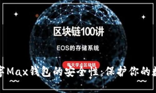 探索数字Max钱包的安全性：保护你的数字资产