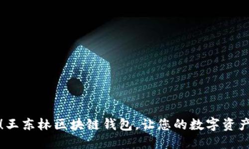 轻松安装！王东林区块链钱包，让您的数字资产安全无忧
