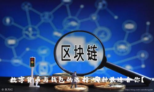 数字货币与钱包的选择：哪种最适合你？