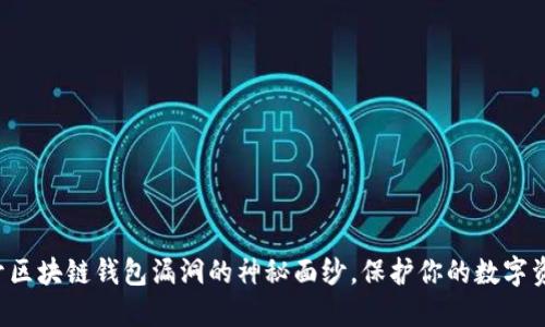 揭开区块链钱包漏洞的神秘面纱，保护你的数字资产！
