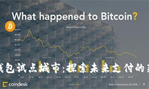 数字钱包试点城市：探索未来支付的新前沿