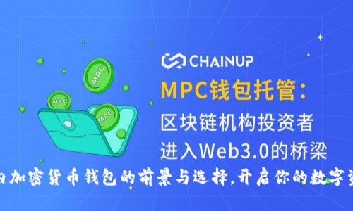 探索国内加密货币钱包的前景与选择，开启你的数字资产之旅