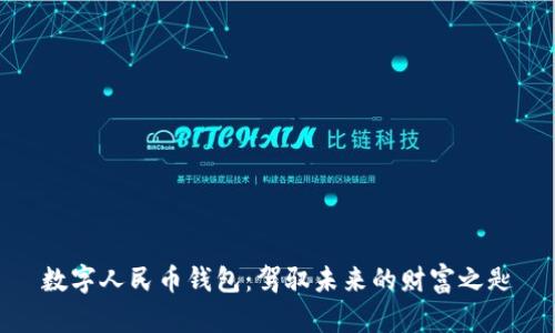 数字人民币钱包：驾驭未来的财富之匙