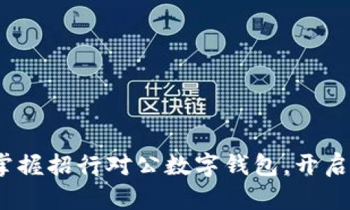 创新金融时代：掌握招行对公数字钱包，开启企业财务新篇章