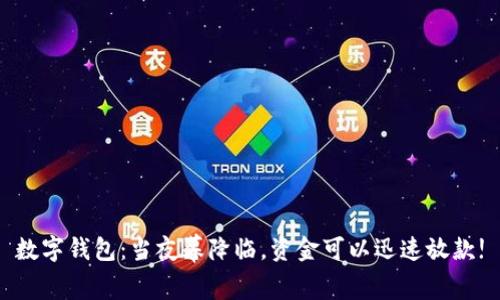 数字钱包：当夜幕降临，资金可以迅速放款!