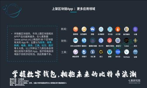 掌握数字钱包，拥抱未来的比特币浪潮
