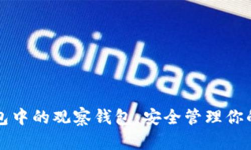 探索TP钱包中的观察钱包:安全管理你的数字资产