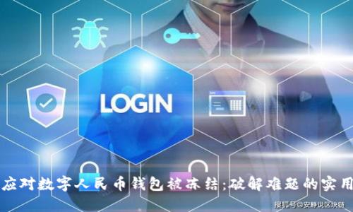 如何应对数字人民币钱包被冻结：破解难题的实用指南