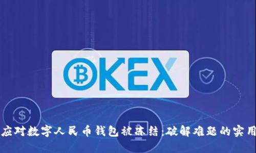 如何应对数字人民币钱包被冻结：破解难题的实用指南