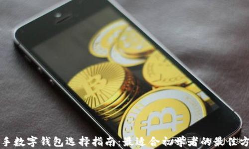 
新手数字钱包选择指南：最适合初学者的最佳方向