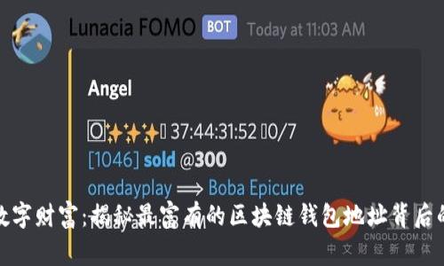 探索数字财富：揭秘最富有的区块链钱包地址背后的故事