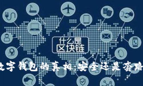 数字钱包的真相：安全还是套路？