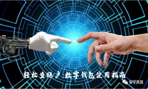 轻松查账户：数字钱包使用指南