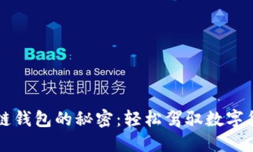 掌握区块链钱包的秘密：轻松驾驭数字货币的未来